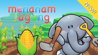 Lagu Anak Indonesia  Menanam Jagung [upl. by Aicekal]