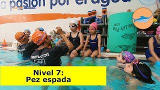 PERFECCIONA los cuatro estilos de NATACIÓN ESCUELA de natación [upl. by Simon203]