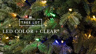 LED Color  Clear  Tree Lot [upl. by Aicerg]