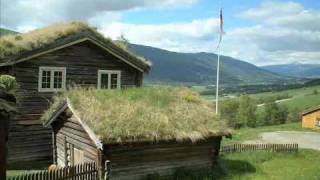 Green Roofs Saving the Planet One Building at a Time part 1 [upl. by Darlleen]