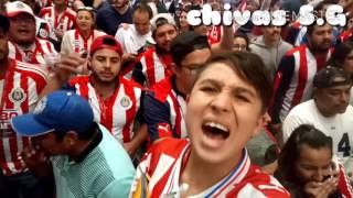 Porras de Chivas  LA IRREVERENTE [upl. by Hilbert]