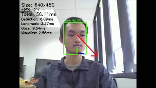 Gaze Estimation on Raspberry Pi 4 [upl. by Niu]