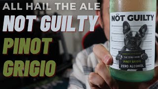 NOT GUILTY  Pinot Grigio Alcohol Free Wine Review [upl. by Eob]