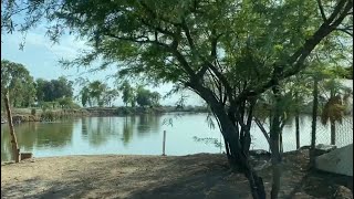 Colonia Solidaridad social  Leandro Valle y Rivera Campestre Tienen un Lago al millón [upl. by O'Hara]