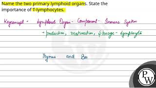 Name the two primary lymphoid organs State the importance of Tlymphocytes [upl. by Nama622]