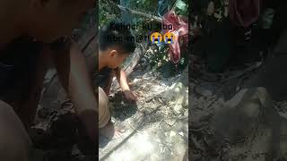 Yaahh kelinci ku tinggal dua karna satunya mati padahal yng satunya dah ku kasih sayang😭😭 [upl. by Tammara42]