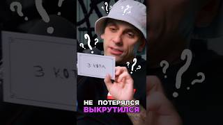 Четко залетел на бит с мощным фристайлом VibeTGK 3 КОТА шоу Сделал хит Трек за 5 минут [upl. by Innis]