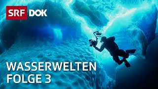 Tauchen in Indonesien auf den Seychellen in Grönland amp der Schweiz  Wasserwelten 34  SRF Dok [upl. by Geldens]