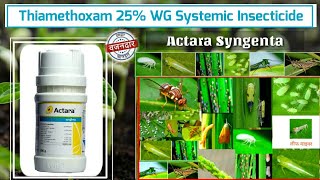 Thiamethoxam 25 WG  Actara Syngenta  Systemic insecticide Insecticide  कीटनाशक [upl. by Casey]