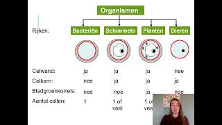 Samenvatting Ordening amp Evolutie 3 VMBO Biologie Voor Jou MAX [upl. by Milson]