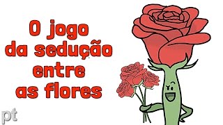 Quem as flores estão tentando seduzir  Minuto da Terra [upl. by Buckels]