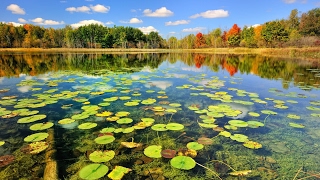 Anatoly Liadov  The Enchanted Lake symphonic poem Op 62 [upl. by Durware]