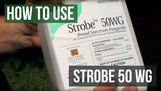 Strobe 50 WG Fungicide Azoxystrobin How To Use [upl. by Cordeelia]