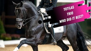 Which One Is Better Totilas Offspring Comparison  Total US Toto Jr amp Go Legend [upl. by Adlihtam]