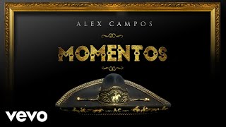 Alex Campos  Al Taller del Maestro Cover Audio [upl. by Euqina]