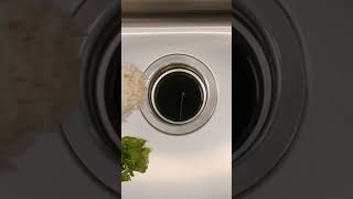 Sepura  Worlds First Composting Garbage Disposal [upl. by Slinkman]