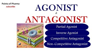 Agonist amp Antagonist [upl. by Federico]