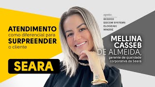 Seara Atendimento como diferencial para surpreender o cliente [upl. by Nnek]