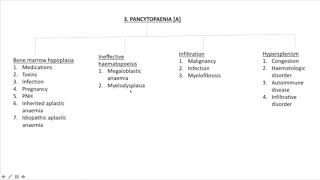 Algorithm 3  Pancytopenia [upl. by Ylatfen]