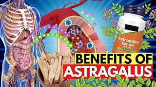 Take Astragalus Root Everyday And See How It Benefits Your Body [upl. by Sollars]