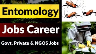 Entomology  Careers in Entomology  Entomology Job Scope [upl. by Loar]