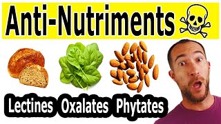 La Vérité Sur Les ANTINUTRIMENTS  LECTINES  OXALATES  PHYTATES [upl. by Cymbre]