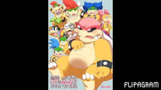 The Koopalings [upl. by Oicor]