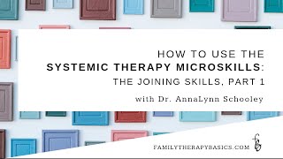 How to Use The Systemic Therapy MicroSkills The Joining Skills Part 1 [upl. by Ineslta943]