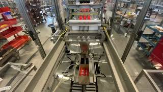 Hamrick Packaging Systems  600 S Servo Case Packer Stainless Steel Dairy [upl. by Christianna]