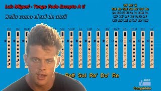 Tengo Todo Excepto A ti  Luis Miguel  Flauta dulce  Tutorial con notas tipo karaoke [upl. by Araem133]