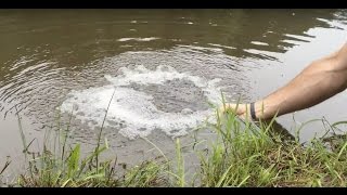 DIY Pond Aeration Improve Your Pond Water Quality plus quotBig Maxquot vs Hiblow aerators [upl. by Yrac46]