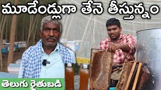 130 పెట్టెలతో తేనె తీసి అమ్ముతున్నం  Honey Farming  రైతు బడి [upl. by Nwad416]