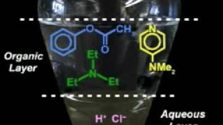 Lec 5  MIT 5301 Chemistry Laboratory Techniques IAP 2004 [upl. by Cirederf972]