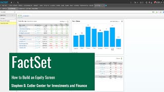 Introduction to Screening in FactSet [upl. by Anaya544]