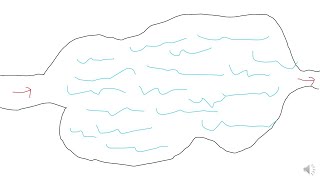 Lacustrine Depositional Systems [upl. by Lunette223]