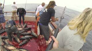 Independence Sportfishing  7 day  Sept 14212013 FULL VIDEO [upl. by Chafee593]