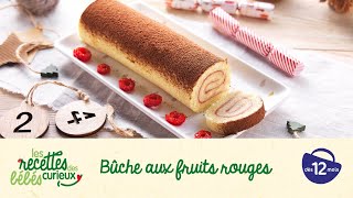 Recette bébé  Bûche aux fruits rouges [upl. by Joashus407]