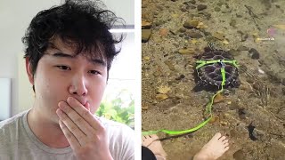 Petkeeping in Korea is DIFFERENT  Fish Tank Review 266 [upl. by Stucker]