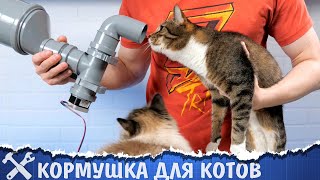 🐈Автоматическая кормушка для котов v2 [upl. by Burdelle]