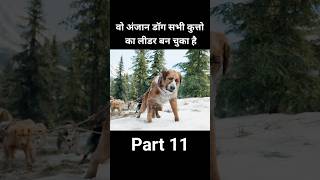 वो अंजान डॉग सभी कुत्तो का लीडर बन चुका है part11 shorts [upl. by Lundin]