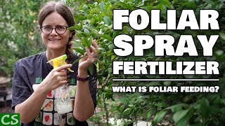 Foliar Spray Fertilizer  What is Foliar Feeding [upl. by Docile]