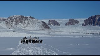 North Greenland Journey by Dog Sled with Inuit Hunters [upl. by Yelsel486]