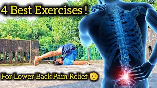 4 Best Exercises to Relieve Lower Back Pain  Exercises for back pain at home [upl. by Lunna]