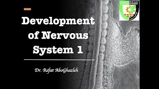 Development of Nervous System 1 [upl. by Cotter]