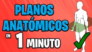 ✅ PLANOS ANATÓMICOS en 1 MINUTO 😱 [upl. by Annoet614]