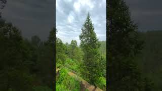 Things to do in Addis Ababa Entoto Park addisababa ethiopia travel [upl. by Milak]