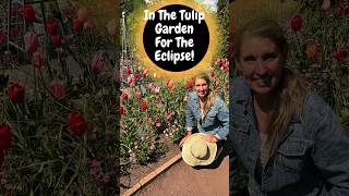 Tour The Tulips under the Eclipse With Me 🌷 🤩 garden flowers tulips eclipse [upl. by Mahsih]