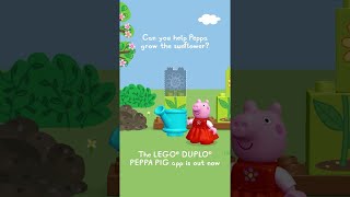 Can You Help Peppa Grow The Sunflower shorts peppapig LEGODUPLO [upl. by Eelyr]