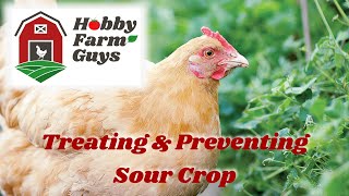 Treating amp Preventing Sour Crop In Chickens and Other Poultry [upl. by Amersham]