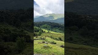 Magical western ghats ytshorts kerala westernghats india greenery [upl. by Carita]